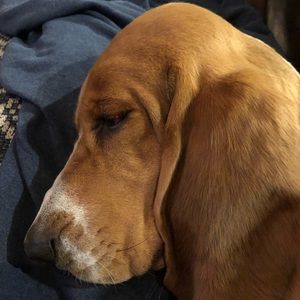 Meet your Posher, Mandy